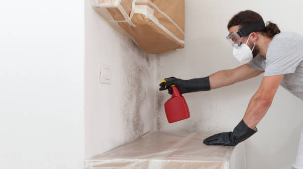 Professional Crawl Space Mold Removal technician working in Boxborough, MA
